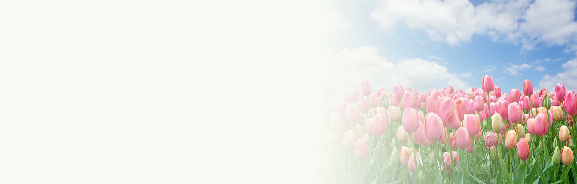 wat is een doorlopend krediet