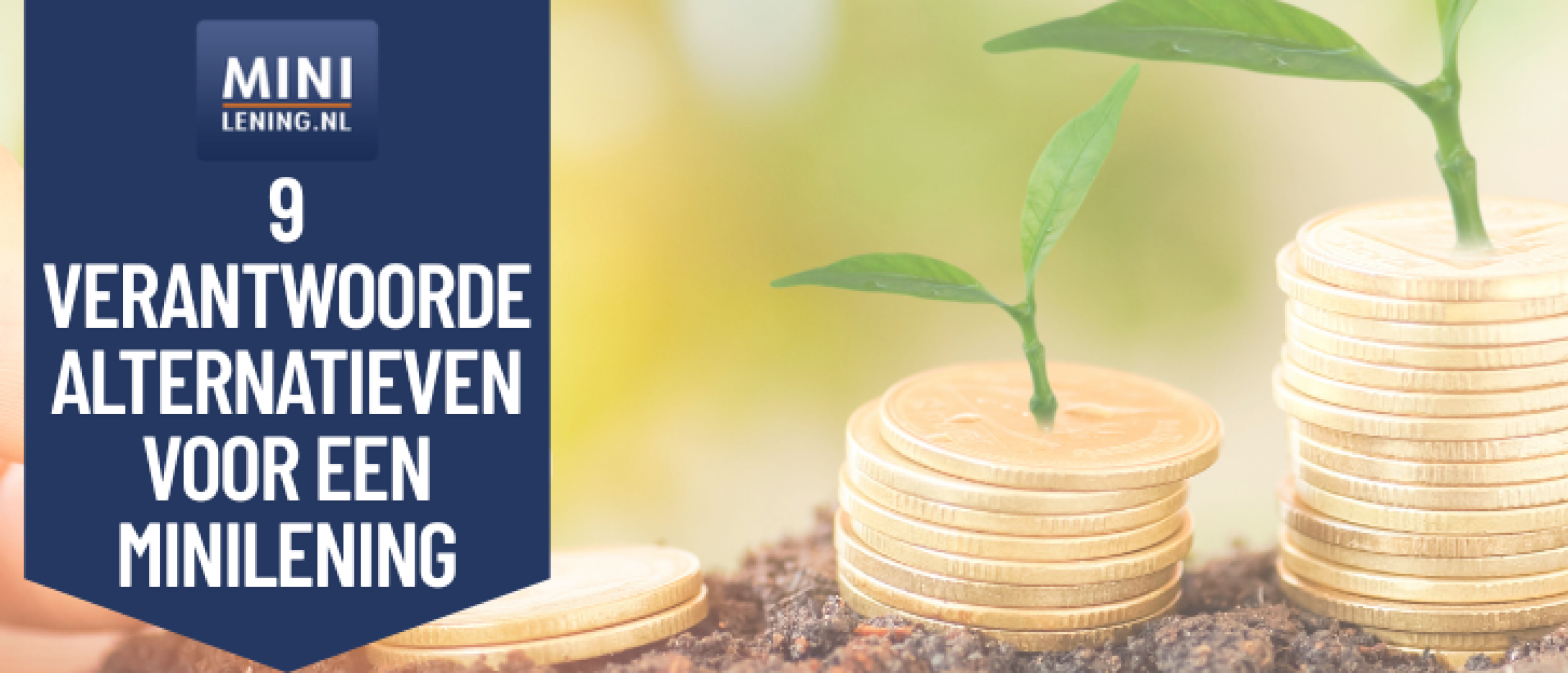nationale nederlanden doorlopend krediet